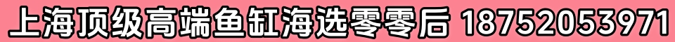 上海顶级高端鱼缸海选零零后 18752053971