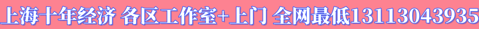 上海十年经济 各区工作室+上门 全网最低13113043935