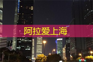 爱上海：上海视觉艺术馆