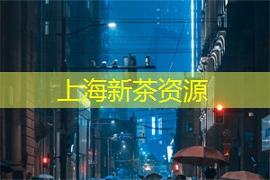 <strong>上海龙凤419</strong>：年轻态度：如何在上海茶庄喝茶更时尚